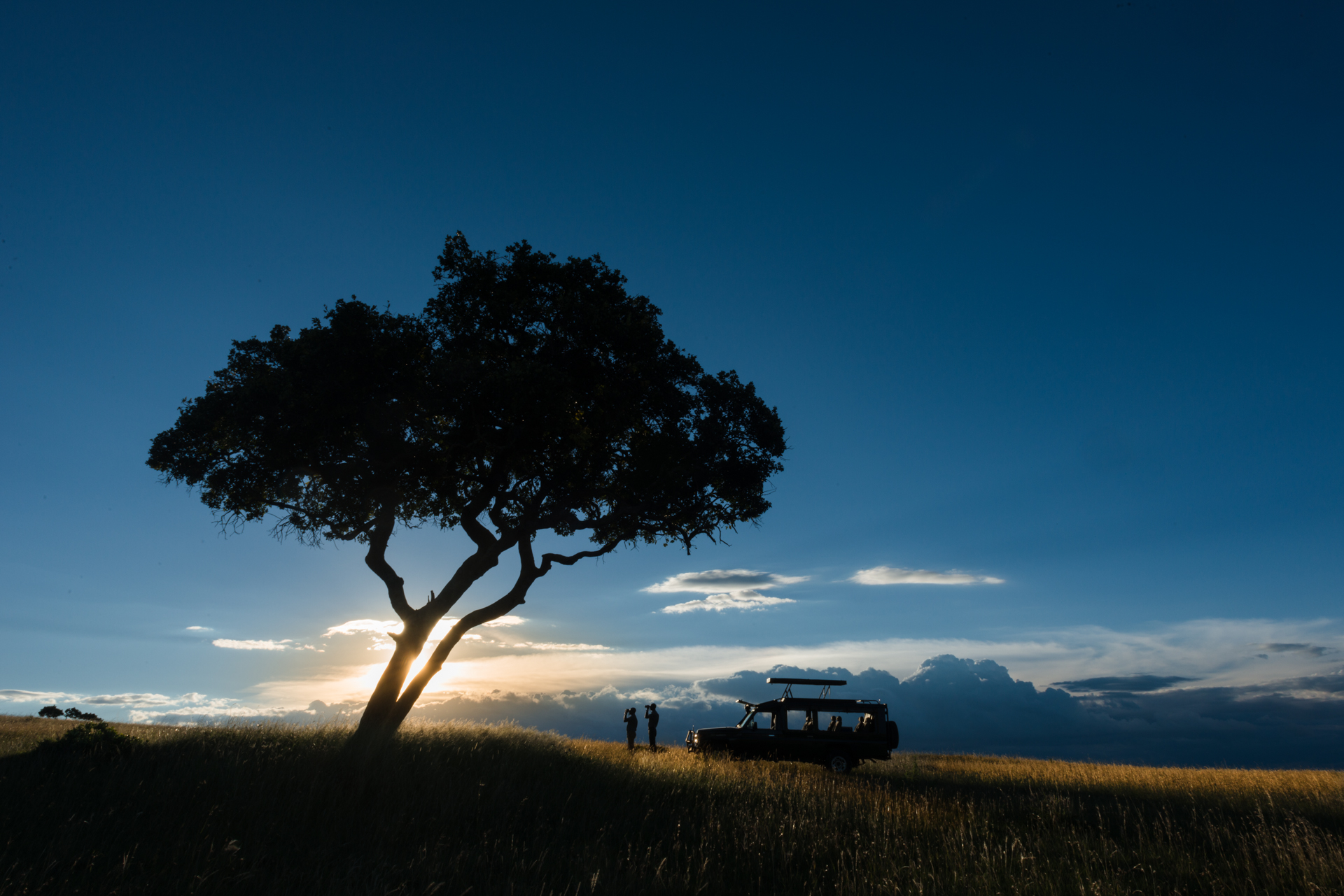 Traditional safari experience at twilight